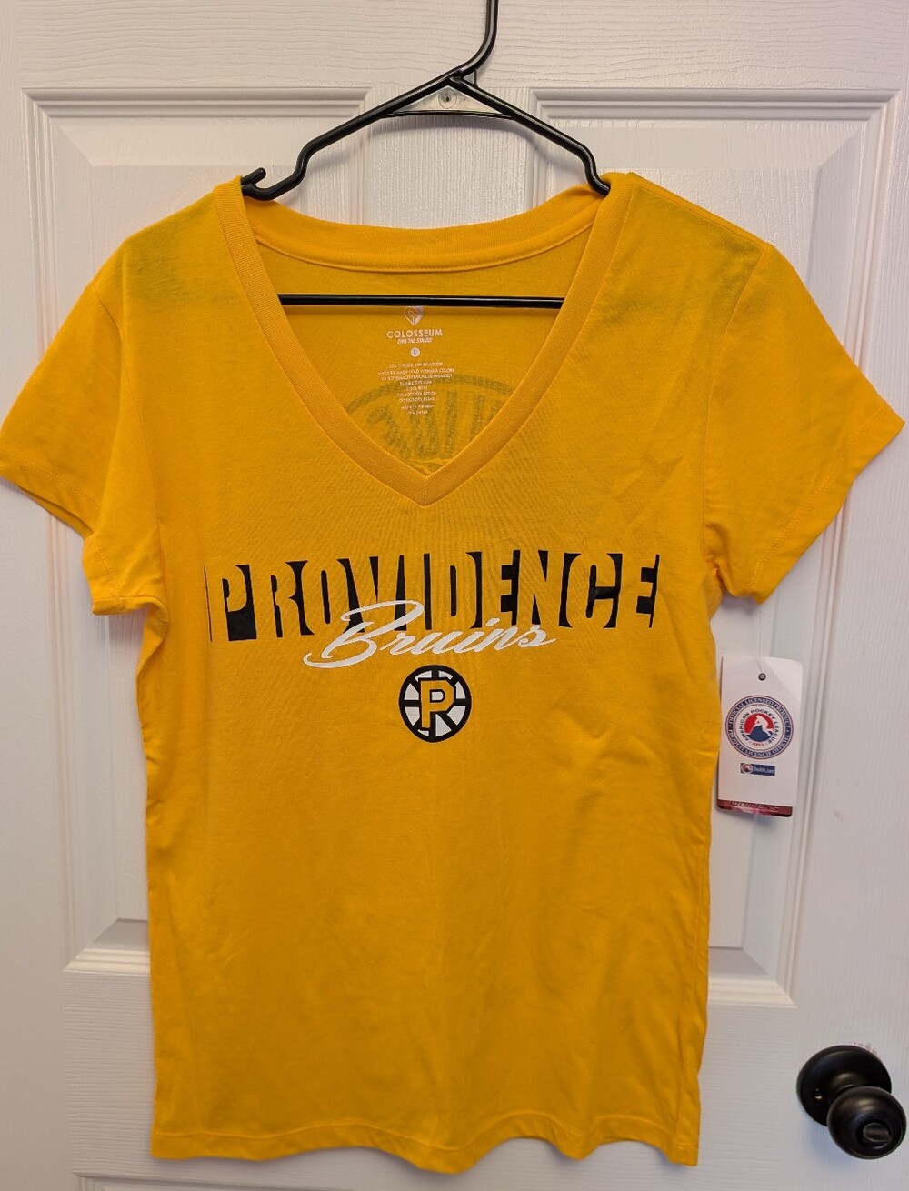 NWT Colosseum Providence Bruins Women's V-Neck Tee - Large